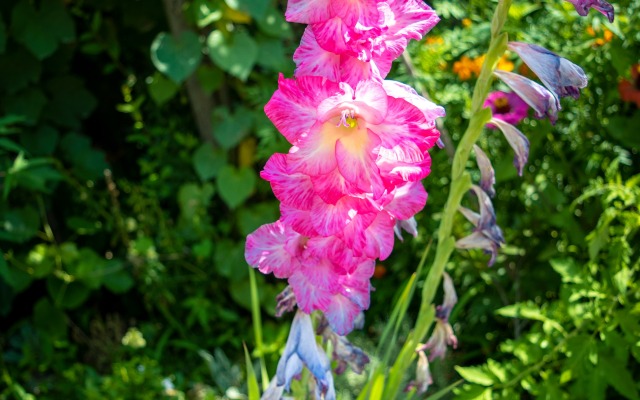 Отель 4 Rooms Boutique