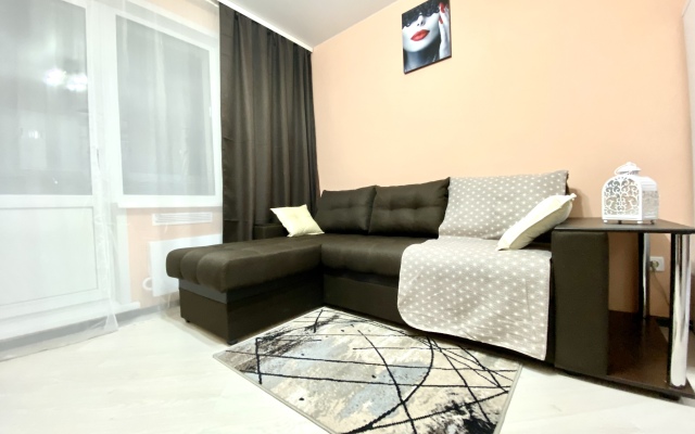 Апартаменты Проспект Молодёжный 33к1 квартира 151