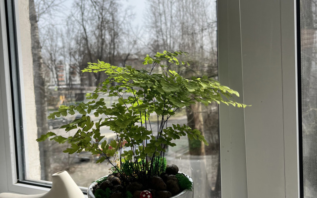 Dvukhkomnatnye nedaleko ot vokzalov Sinyaya ptichka Apartment