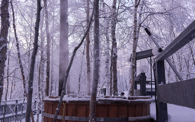 Частный дом в лесу