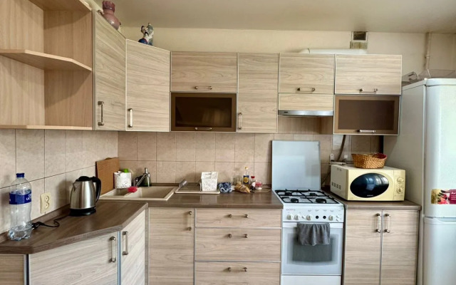 Uyutnaya DvukhKomnatnaya ot Oladom Flat