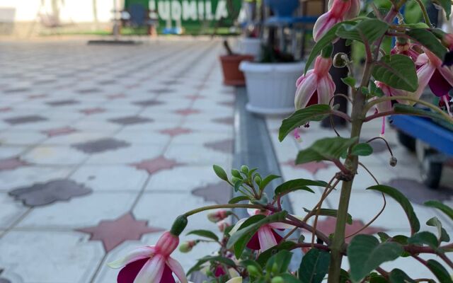 Lyudmila Guest House