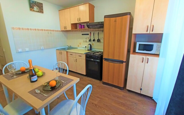 One-room RusDom near the recreation center Rodina Apartments