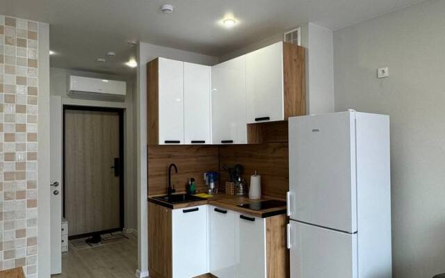 Апартаменты IQ Aparts