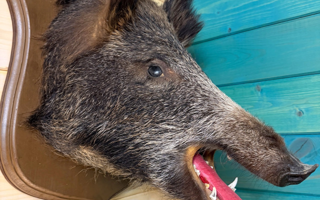 Коттедж Тристан в 15 минутах от Санкт-Петербурга