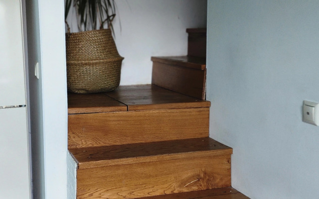 Гостевой дом Уютная Орхидея