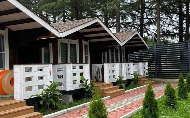 Eco House Pitiunt Resort Hotel