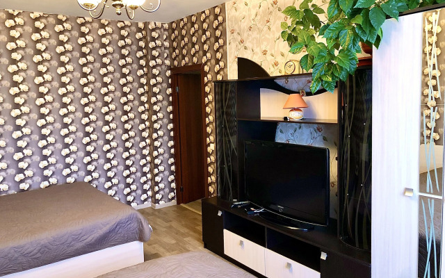 Na Ulitse Vladimirskaya 5v Flat