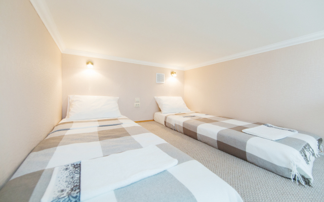 Апартаменты на Пушкинской 12