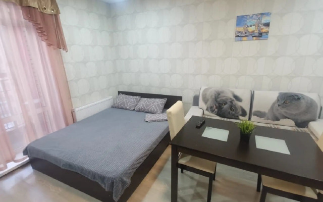 Квартира на Красном проспекте 311