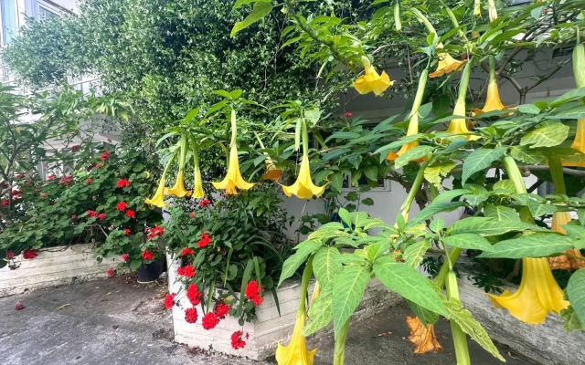 Lazurny Guest house