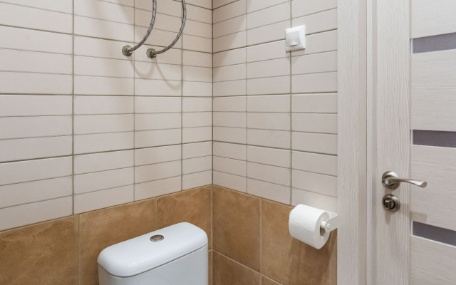 Апартаменты На Большой Московской в Центре