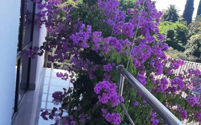 Elida Guest House