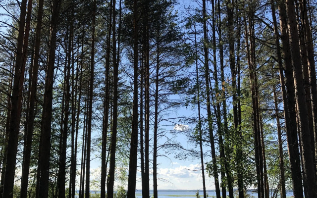 Гостевой дом переулок Дачный Сяпся