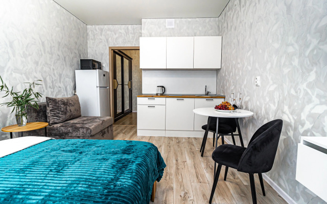 Квартира Уютная студия возле парка Галицкого и Стадиона