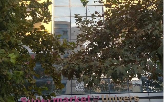 Sofi's Cozy Apartment-Near Port of Vlore, Apartment
