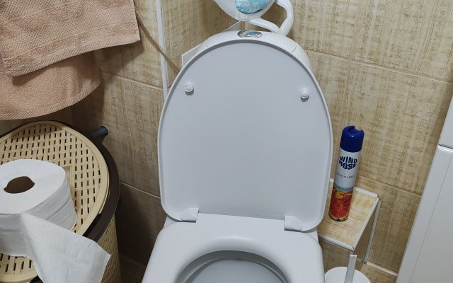 Квартира Уютная и чистая однокомнатная