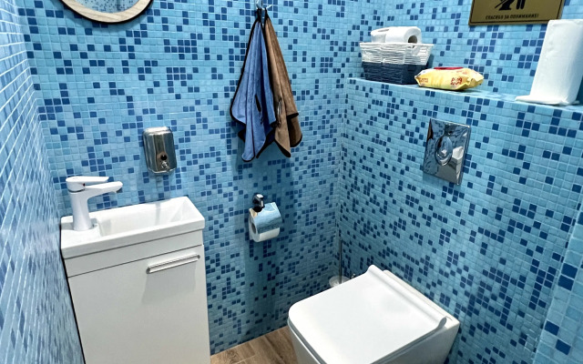 Dom S Saunoy Na Krasnoy Armii 136 Apartments
