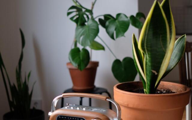 Квартира Уютное Путешествие