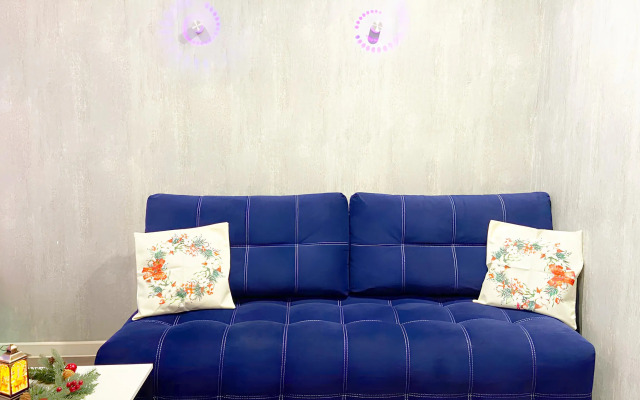 Апартаменты Премиум класса Лофт