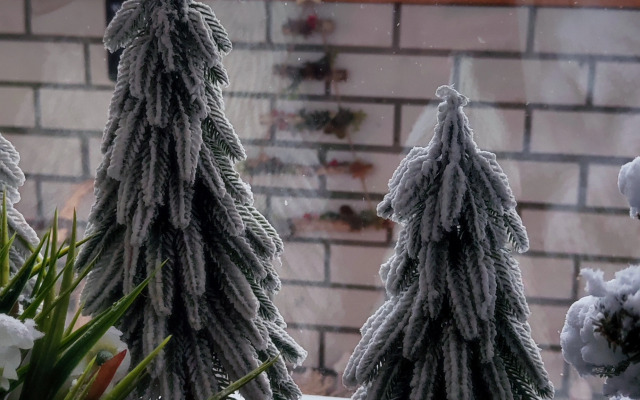 Квартира с панорамным видом на Суздаль