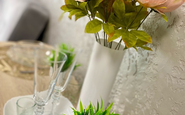 Kvartira v Tsentralnom Rayone Goroda Flat
