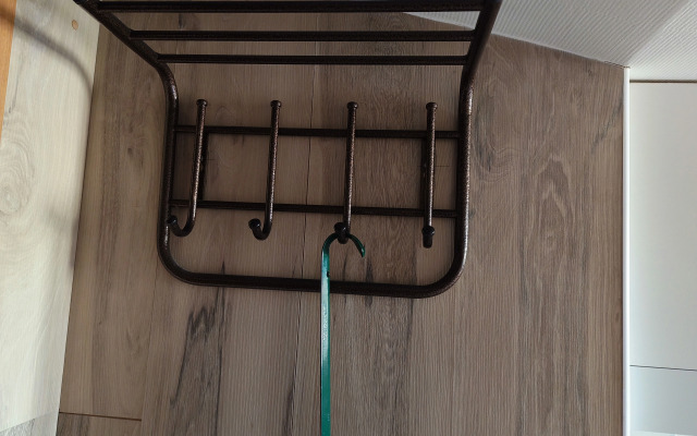 Keyra na Nevskom 91 u Moscovskogo Voksala Flat