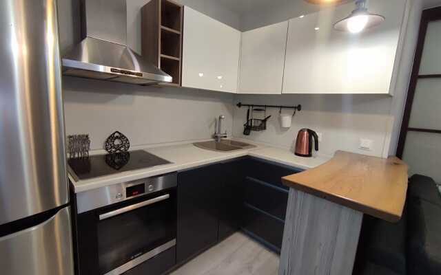 Апартаменты Пушкинская 52