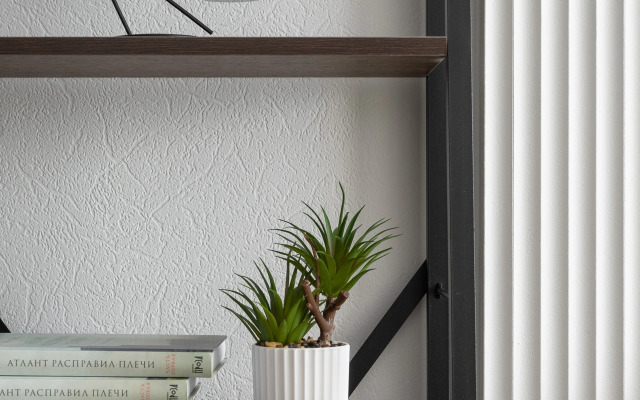 Квартира Чудесная Студия в Сибирском Саду