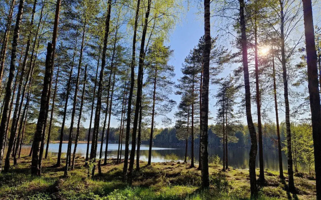 Частный дом в КП Крокусы 4