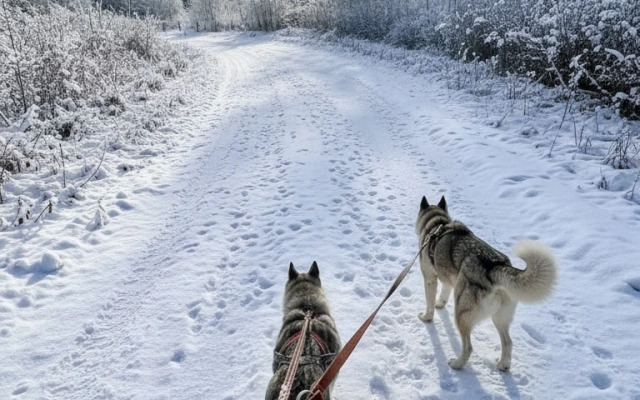 Гостевой дом Бэмби Лэнд