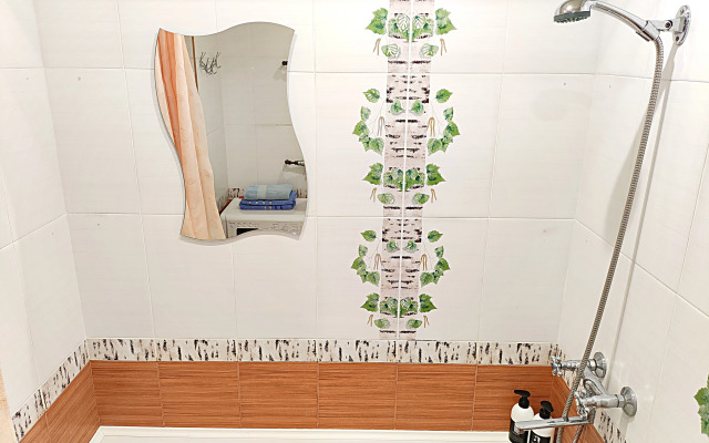 Квартира на Шубиных 3А