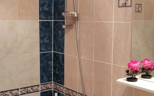 Квартира со Скрипкой