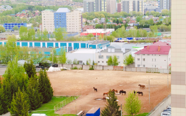 Uyutnaya Ryadom S Tsentrom Goroda Flat