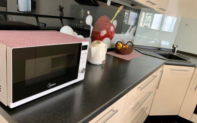 Апартаменты в центе Тюмени, Гелерея Вояж, Гор Сад