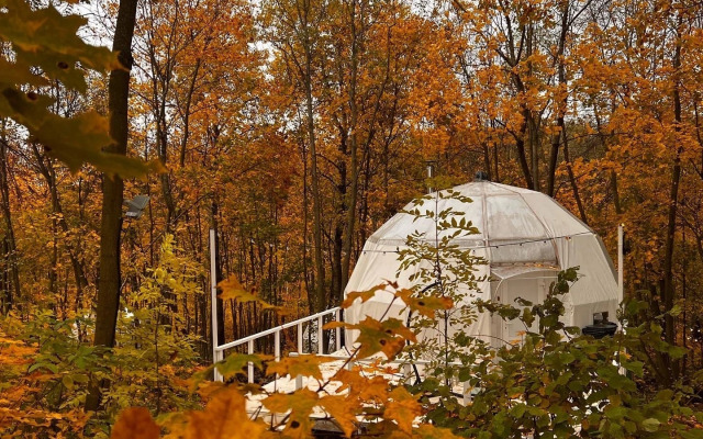 Глэмпинг Клевер