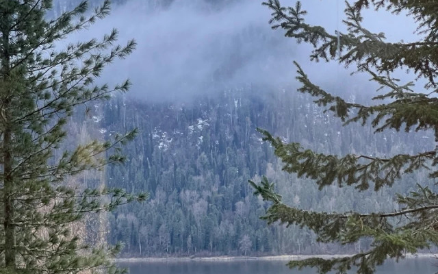 База отдыха Телецкое Золотое