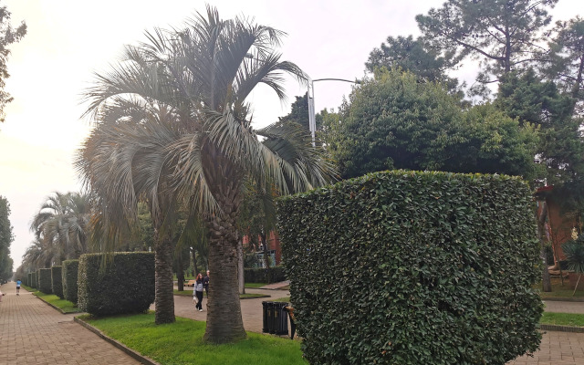 Хостел Harmony