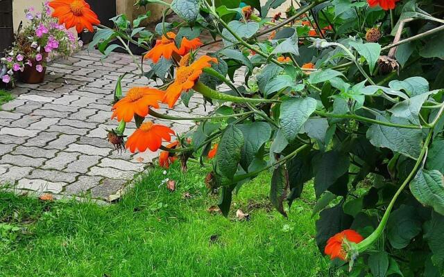 Квартира 2-х комнатная квартира с отдельным входом