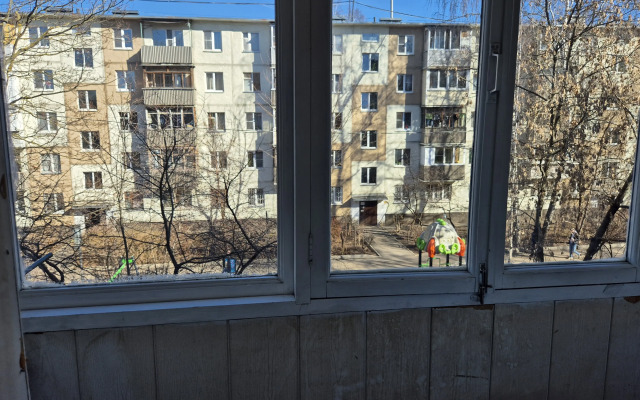 V Tsentre Na Ul Tsentralnaya Flat