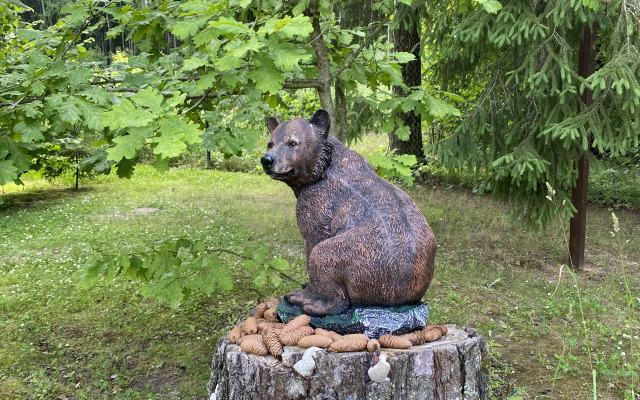 Частный Дом Уютный Домик в Лесу у Пруда