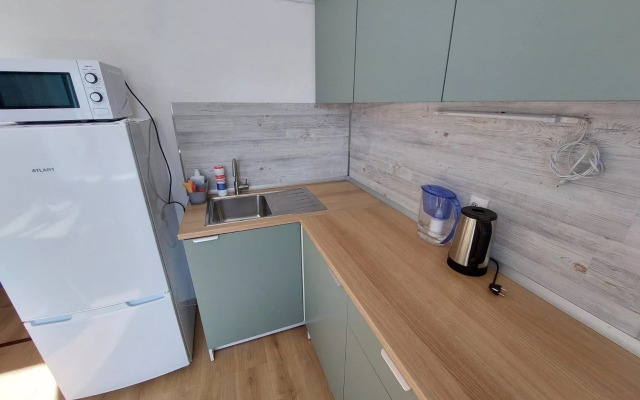 Квартира однокомнатная Живи в Песочном на Садовой 88