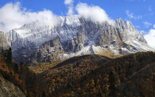 Меблированные комнаты Надежда