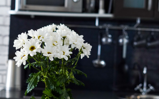 Апартаменты Diaday Irk 5