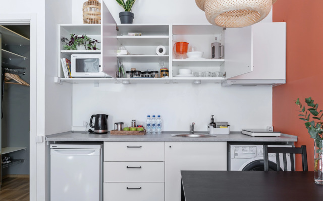 Studiya Terrakota na Bronnitskoy flat