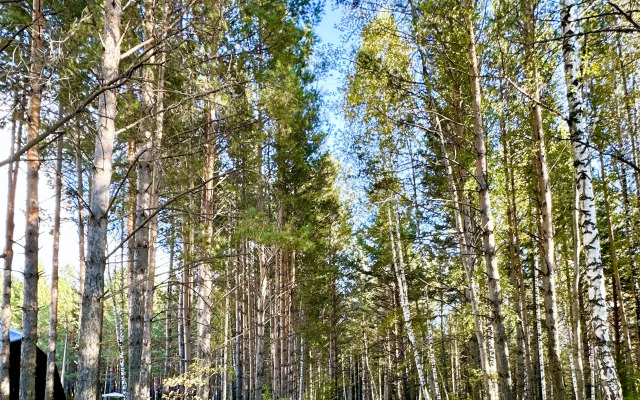 Гостиница Сосновый Бор