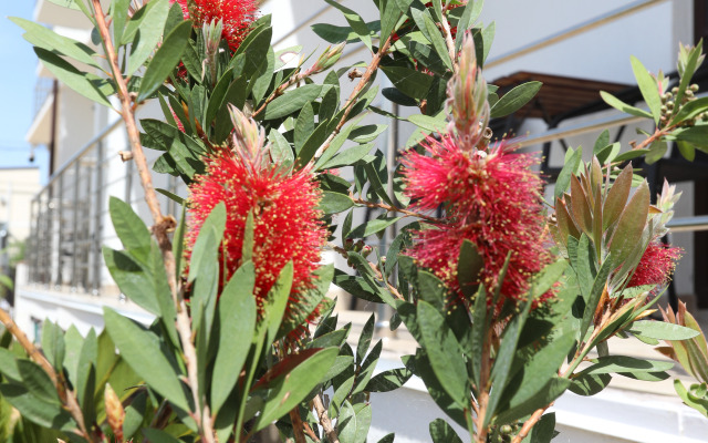 Гостевой Дом Династия (корпус 2)