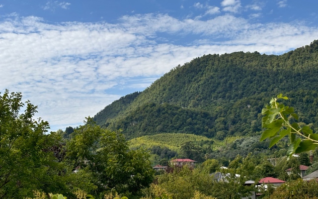 Private House Agava