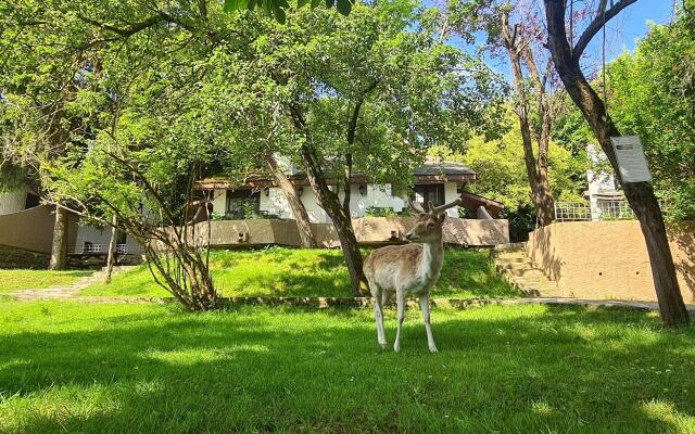 Polonezköy Country Club & Accommodation in the Wildlife Park