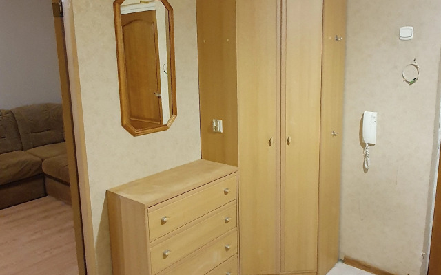 Двухкомнатная квартира с видом на Музей Янтаря